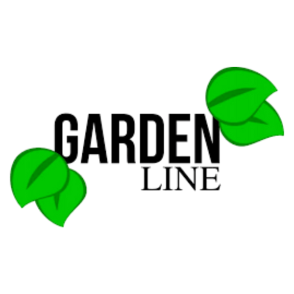 ZHO9722 фото