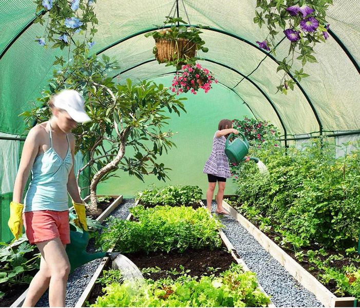 Теплиця садова, парник Holla Garden Польща 6м2 (300х200х200) 2135888773 фото