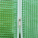 Теплиця парник Польща 6 м2 3&times;2&times;2 м оцинкований каркас P0021-645 фото 6