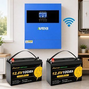 Комплект резервного живлення Anenji ANJ-4000W-24V 4,2 кВт 17301 фото