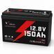 Акумулятор Idzlldi LiFePO4 12.8 В 150 Ah BMS 1920 Wh 18218-01 фото 1