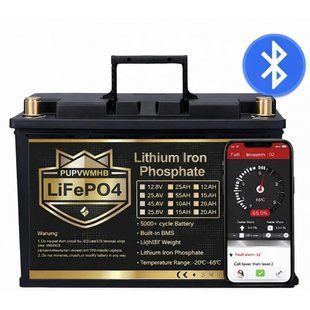 LiFePO4 12V/100Ah Акумулятор PUPVWMHB з Bluetooth, BMS для резервного живлення 17955-01 фото