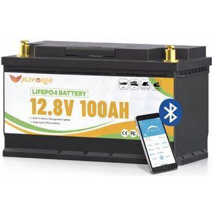 LiFePO4 100Ah 12V 1280Wh Акумулятор FLYFOREE з Bluetooth та BMS для систем резервного та автономного живлення будинку 17113 фото