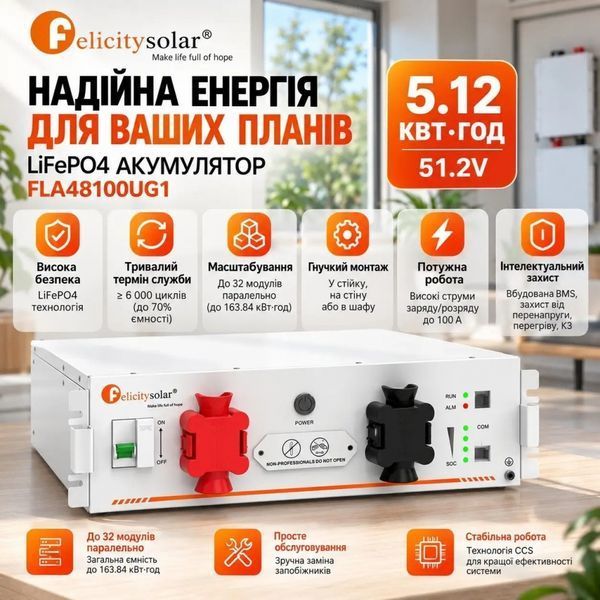 Акумулятор LiFePO4 FelicityEss FLA48100UG1 51,2В 100А&middot;год 17318 фото