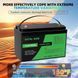 LiFePO4 12V 100Ah Акумулятор Datouboss, BMS, 1280Wh 17848-01 фото 3