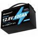 Акумулятор LiFePO4 Ameisentech A121 12V 100Ah 1280Wh 18195-01 фото 2