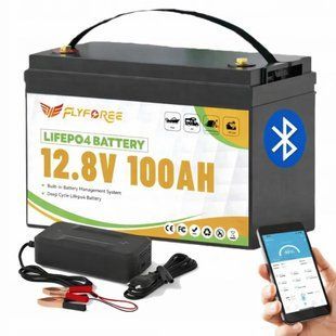 LiFePO4 12V / 100Ah (1280 Wh) з Bluetooth Акумулятор FLYFOREE для систем безперебійного живлення (UPS) будинку 17111 фото