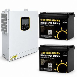 Комплект резервного живлення Daxtromn Power EOH-3.5KW 2&times;12,8В 100А&middot;год 17322 фото