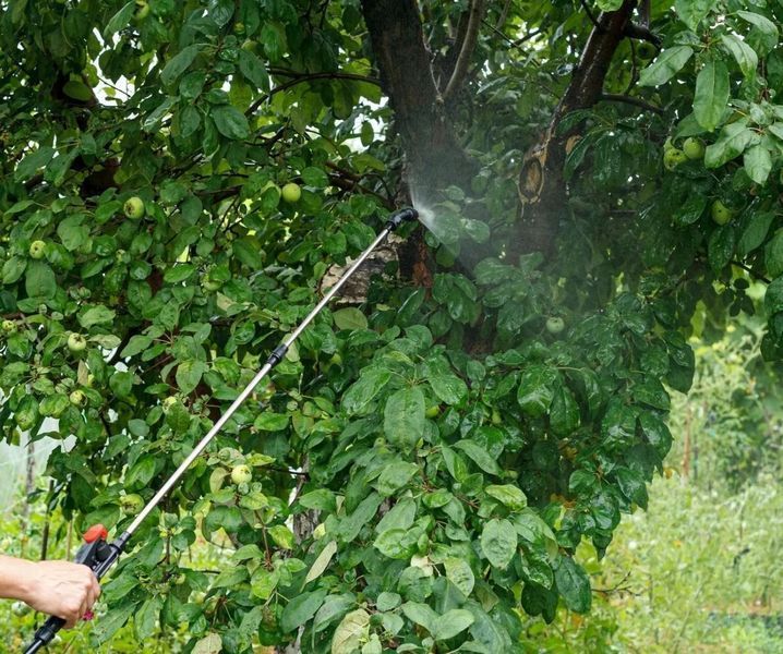 Оприскувач акумуляторний Garden Line AOK0443 5 л поліпропіленовий AOK0443 фото