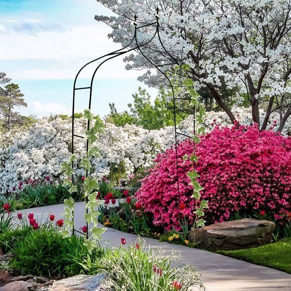 Арка садова GardenLine PErg-N6078 сталева 240&times;150&times;37 см PERG-N6078 фото