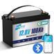LiFePO4 12V/100Ah Акумулятор HRBEnergy з Bluetooth для систем резервного живлення 17112 фото 1