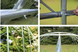Посилена теплиця Ekspand TFO25-3&times;10&times;2-2-Z 3&times;10&times;2 м каркас 25 мм TFO25-3X10X2-2-Z фото 5